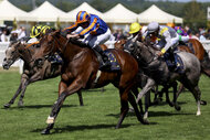 Racehorses competing at Royal Ascot 2025.