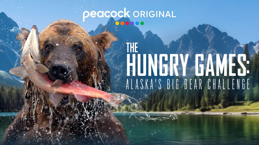 The Hungry Games: Alaska's Big Bear Challenge