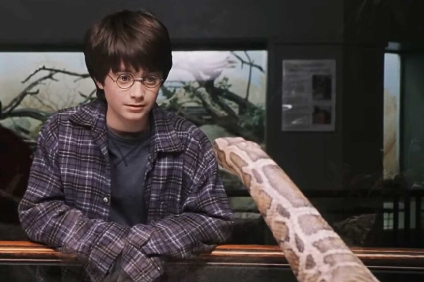 Harry Potter talking to a snake in Harry Potter and the Sorcerer's Stone (2001).
