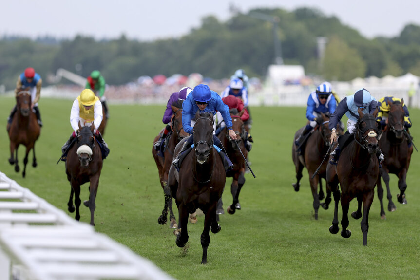 Racehorses competing at Royal Ascot 2025.